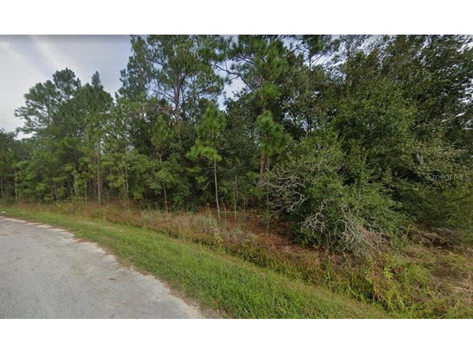 1441 Tern Court Kissimmee FL 34759 O6259911 image1