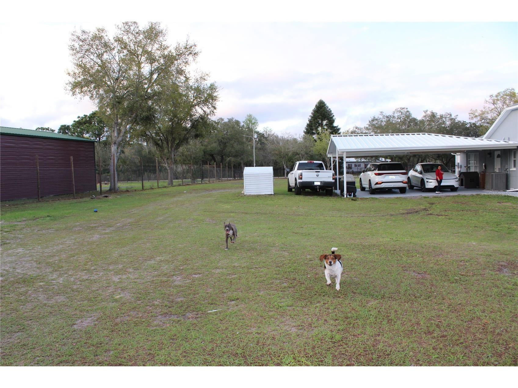 14410 Dabney Court Spring Hill FL 34610 TB8487971 image70