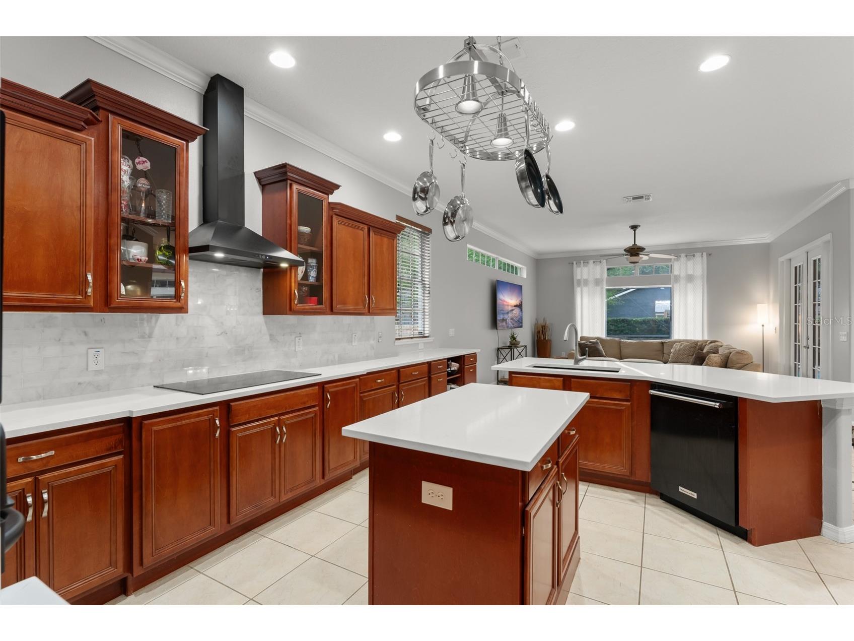 14411 Hampshire Bay Circle Winter Garden FL 34787 - Black Lake O6413972 image10