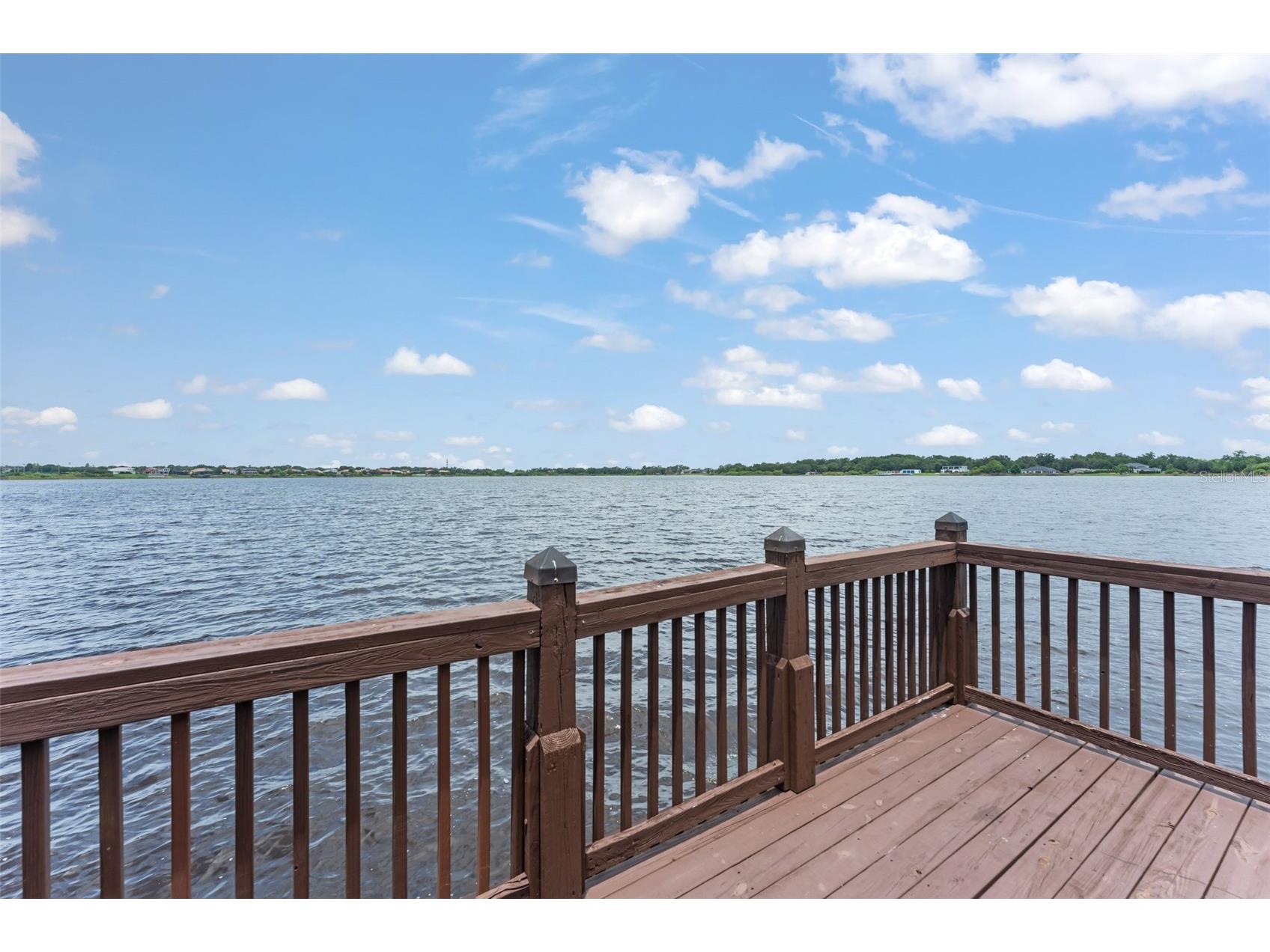 14411 Hampshire Bay Circle Winter Garden FL 34787 - Black Lake O6413972 image63