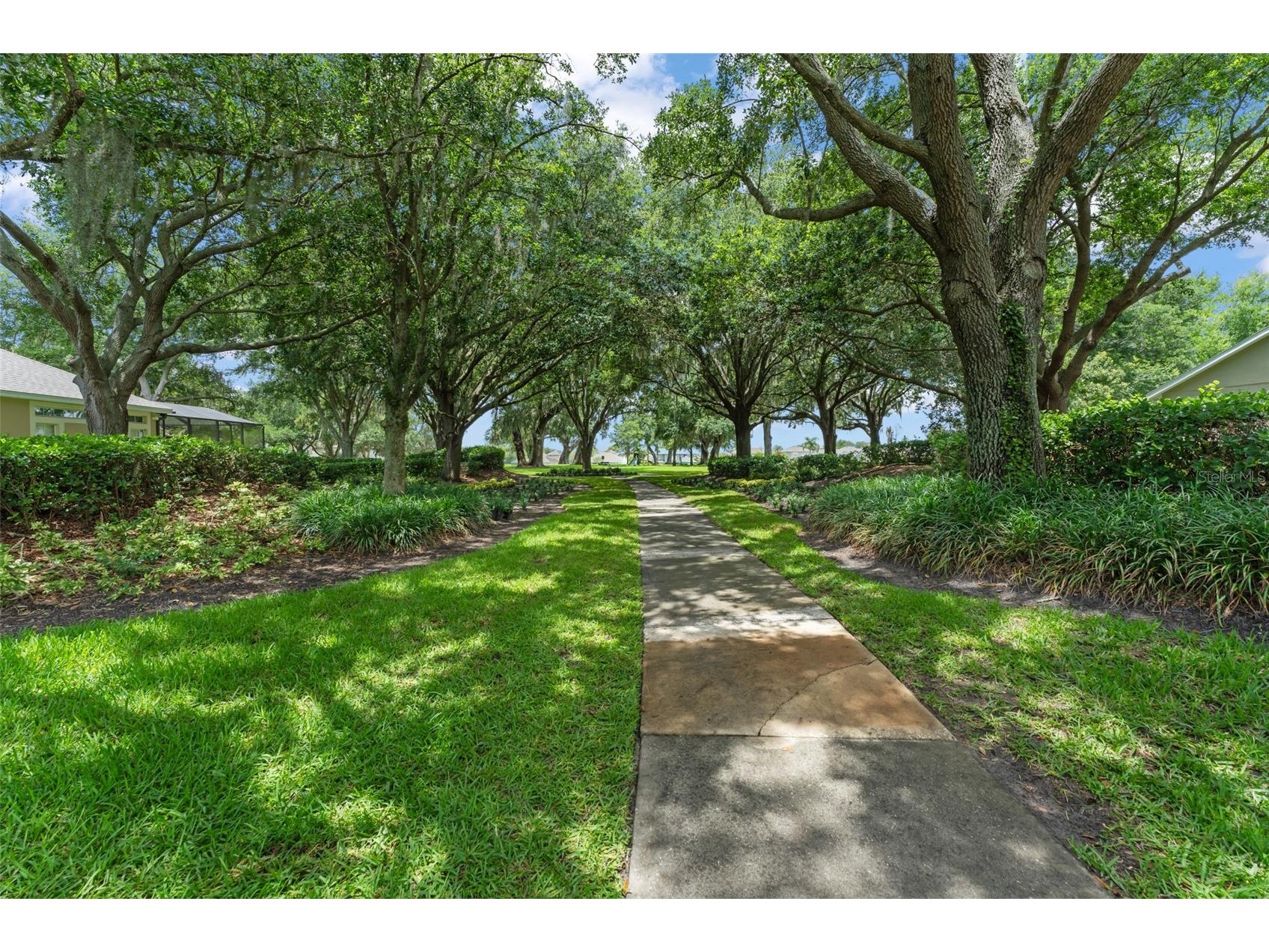 14411 Hampshire Bay Circle Winter Garden FL 34787 - Black Lake O6413972 image64