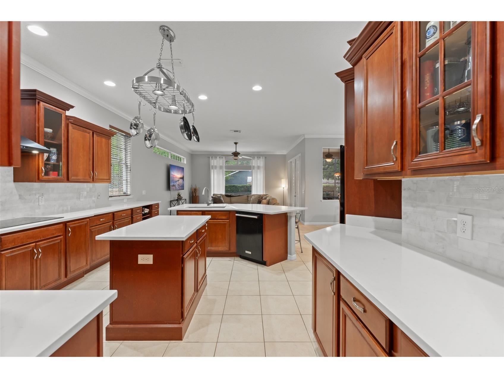 14411 Hampshire Bay Circle Winter Garden FL 34787 - Black Lake O6413972 image9