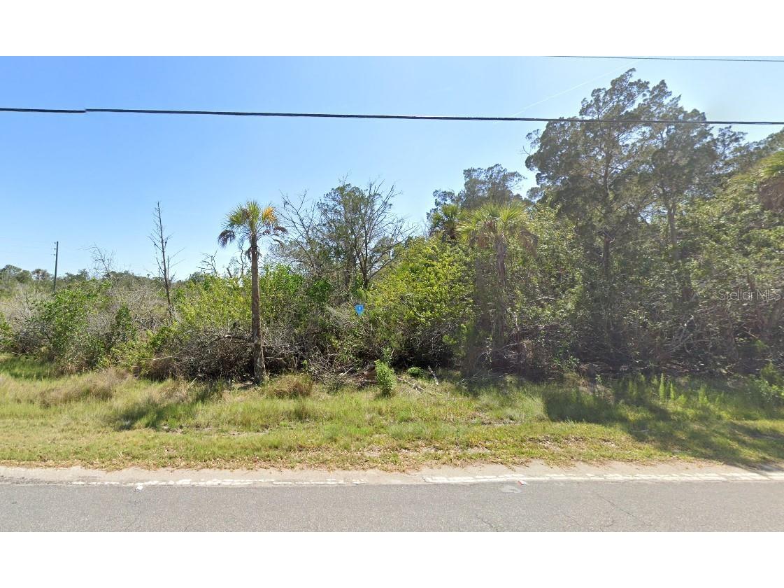 14412 W Ozello Trail Crystal River FL 34429 A4681030 image2