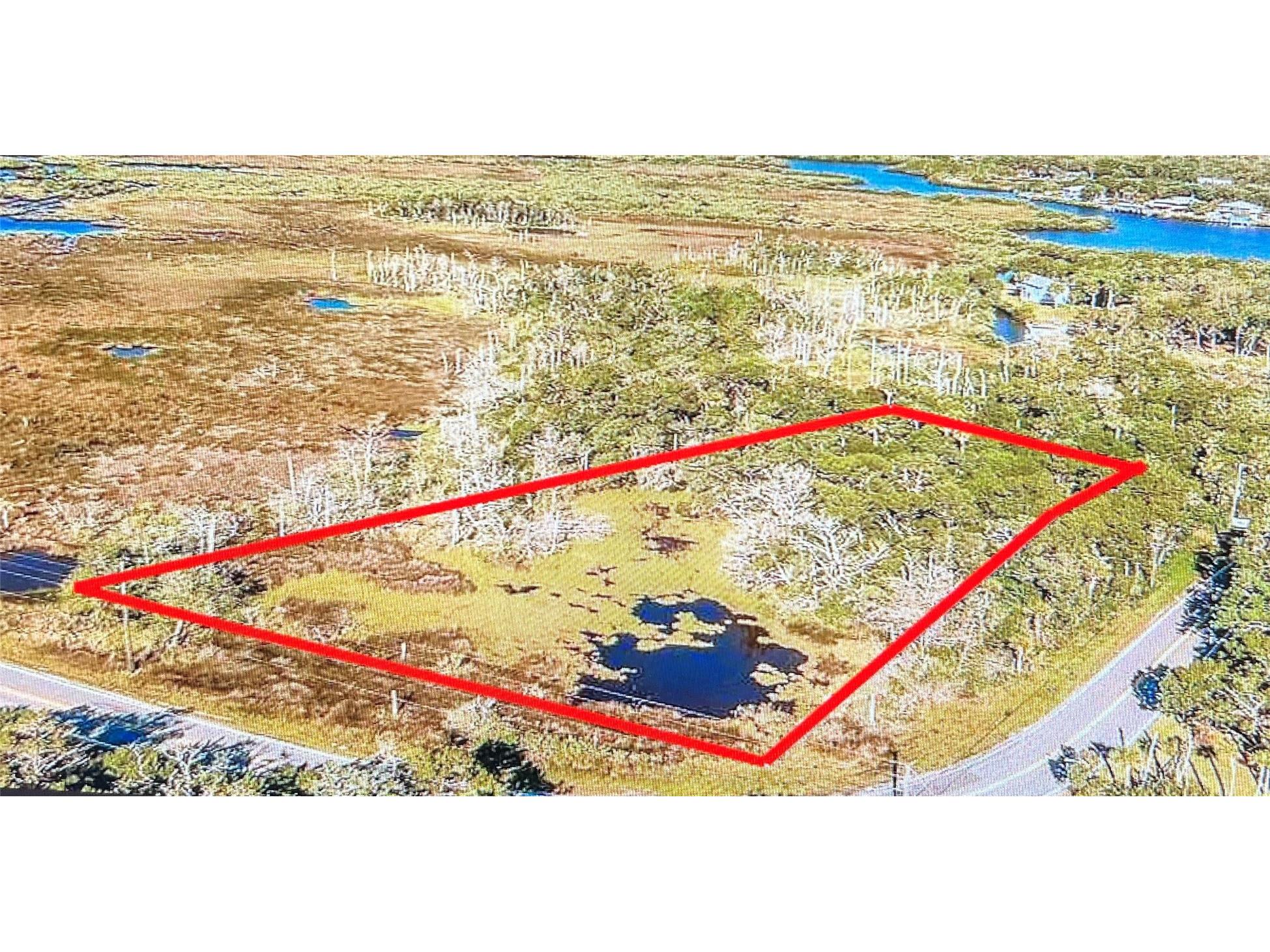 14412 W Ozello Trail Crystal River FL 34429 W7885225 image4