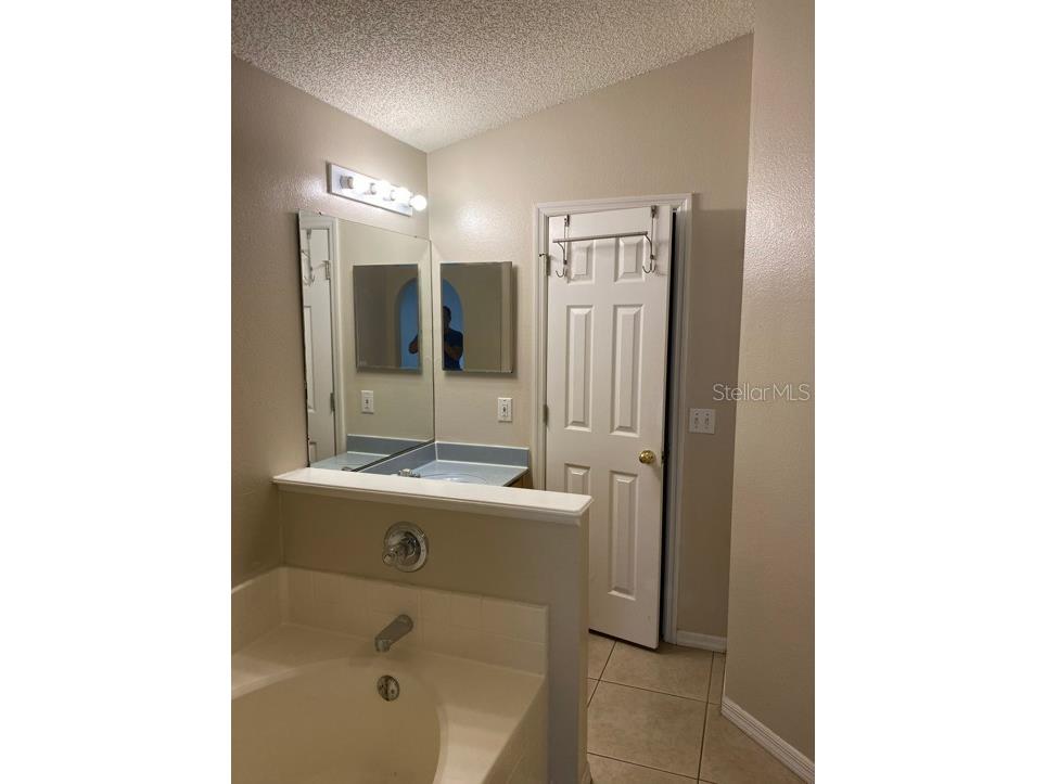14413 Lake Price Drive Orlando FL 32826 O6417456 image4