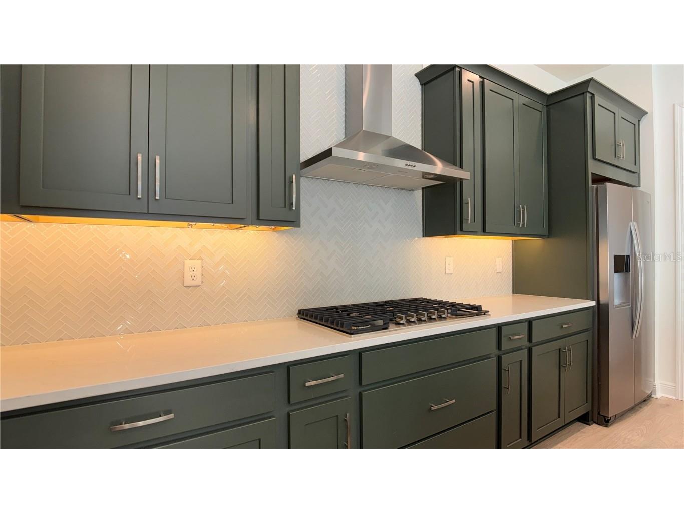 14415 Crest Palm Avenue Windermere FL 34786 O6338743 image4