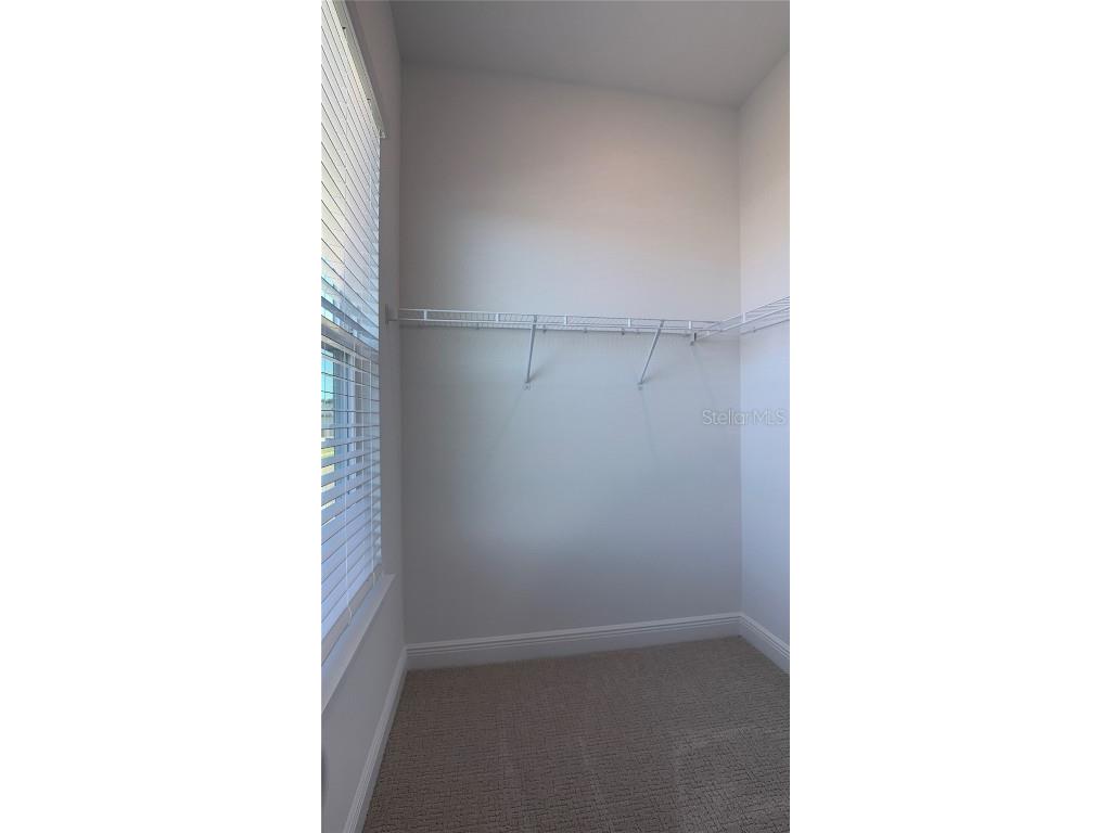 14415 Crest Palm Avenue Windermere FL 34786 O6338743 image41