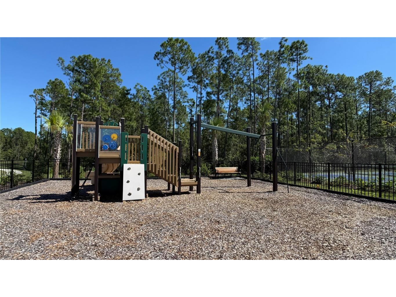 14415 Crest Palm Avenue Windermere FL 34786 O6338743 image50