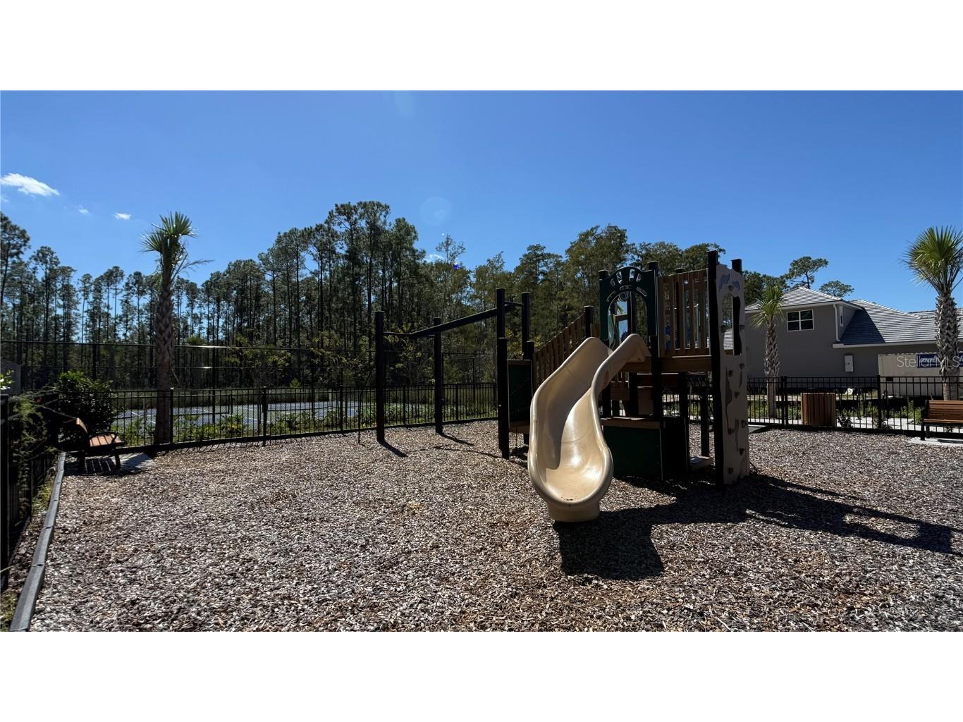 14415 Crest Palm Avenue Windermere FL 34786 O6338743 image51