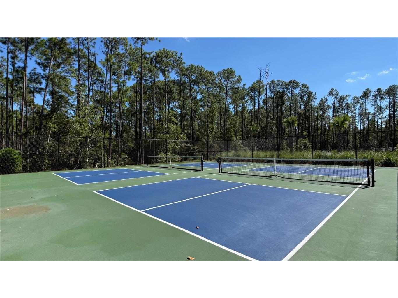 14415 Crest Palm Avenue Windermere FL 34786 O6338743 image52