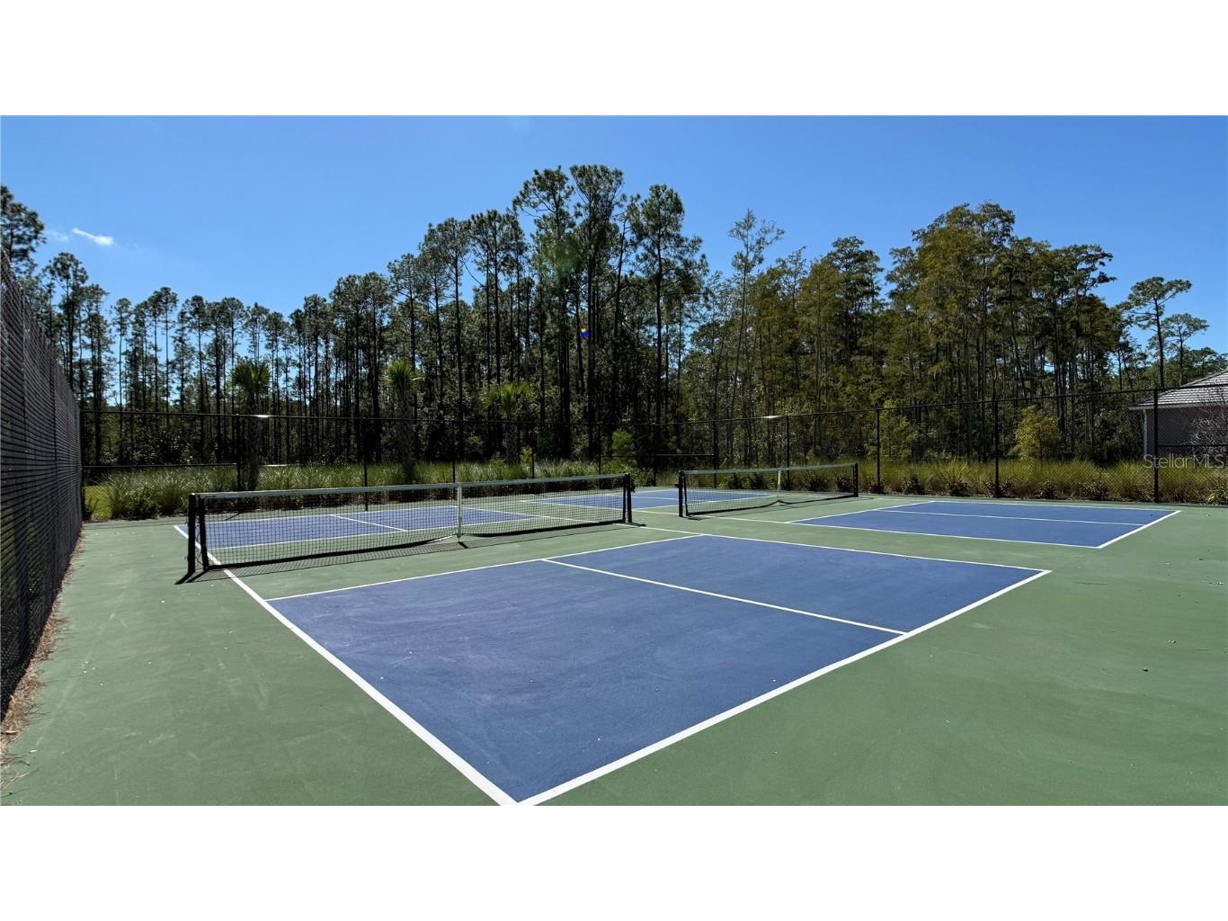 14415 Crest Palm Avenue Windermere FL 34786 O6338743 image53