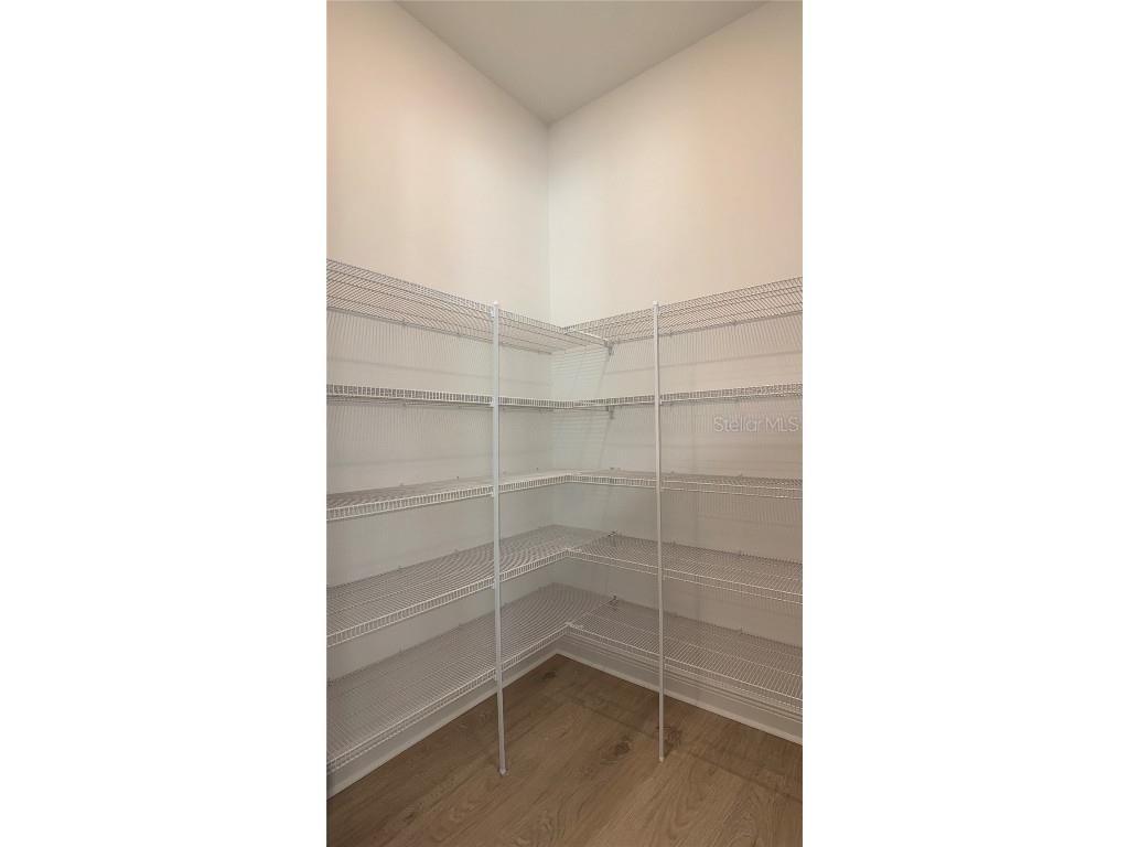 14415 Crest Palm Avenue Windermere FL 34786 O6338743 image9