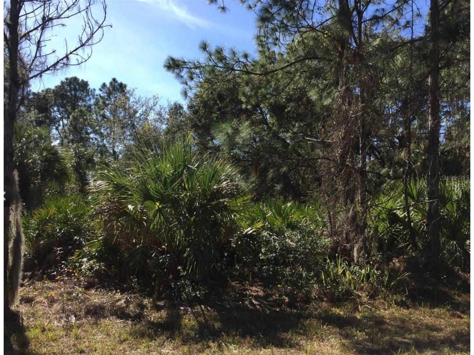 14415 Maddock Avenue Port Charlotte FL 33953 D6145782 image1
