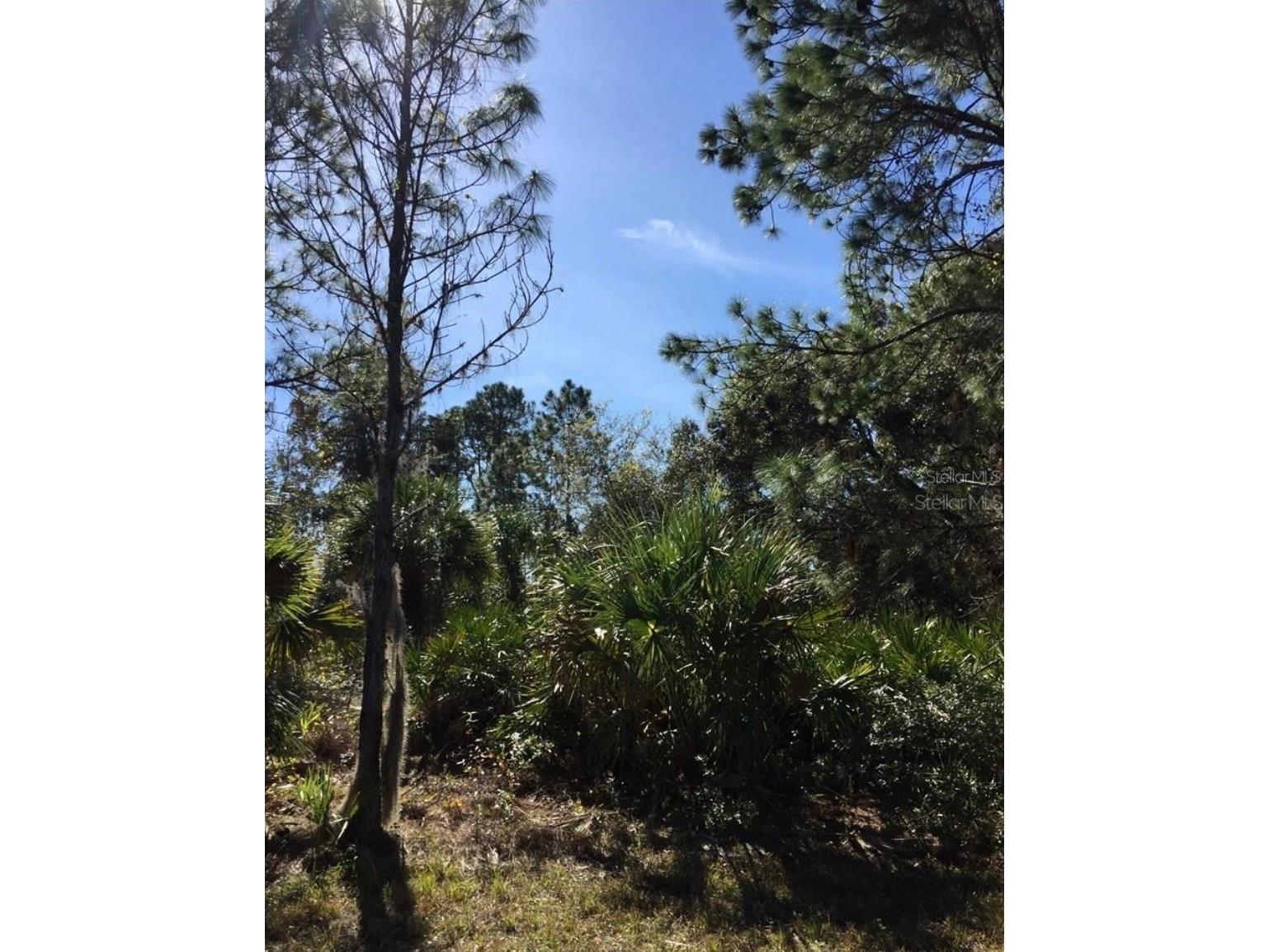 14415 Maddock Avenue Port Charlotte FL 33953 D6145782 image2