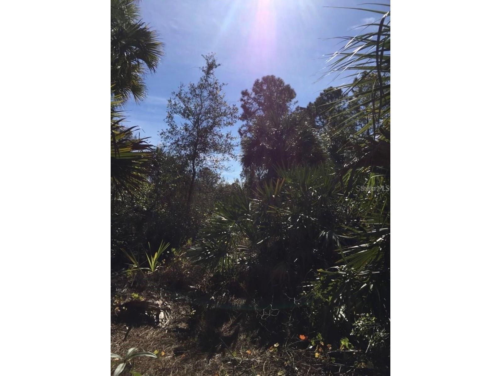 14415 Maddock Avenue Port Charlotte FL 33953 D6145782 image3
