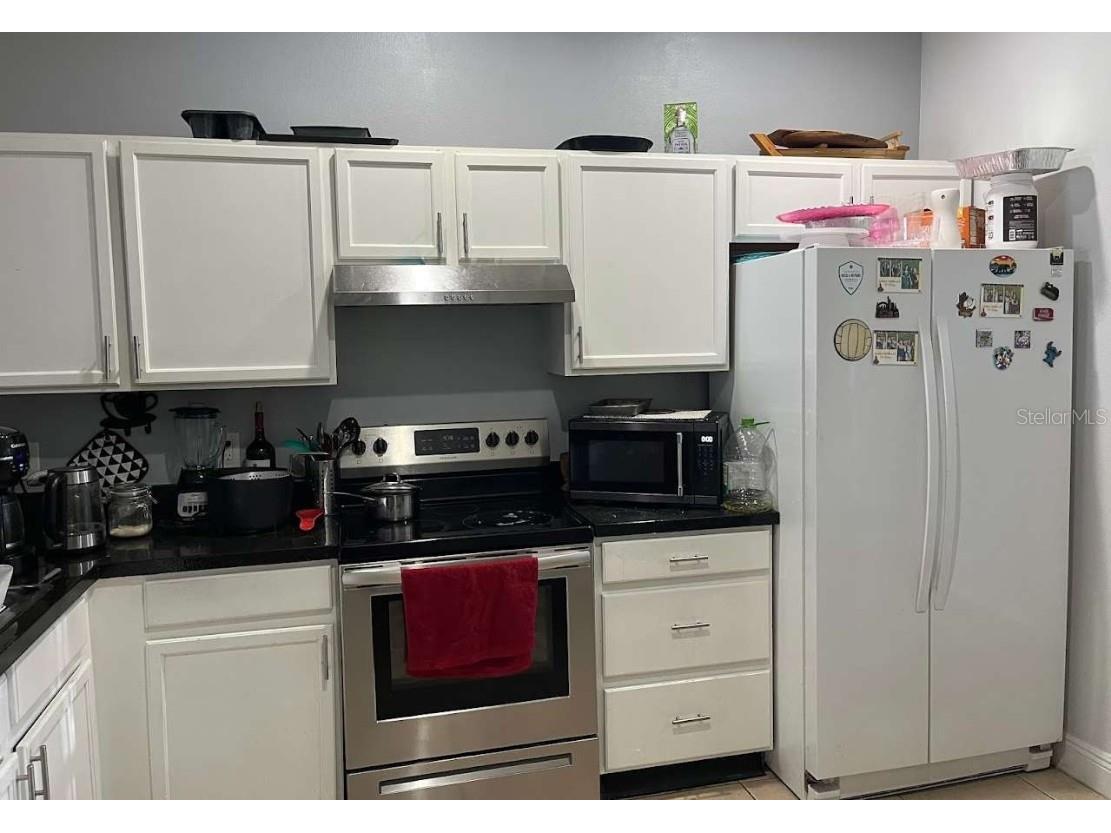 14417 Jasmine Glen Drive Orlando FL 32824 TB8436397 image7