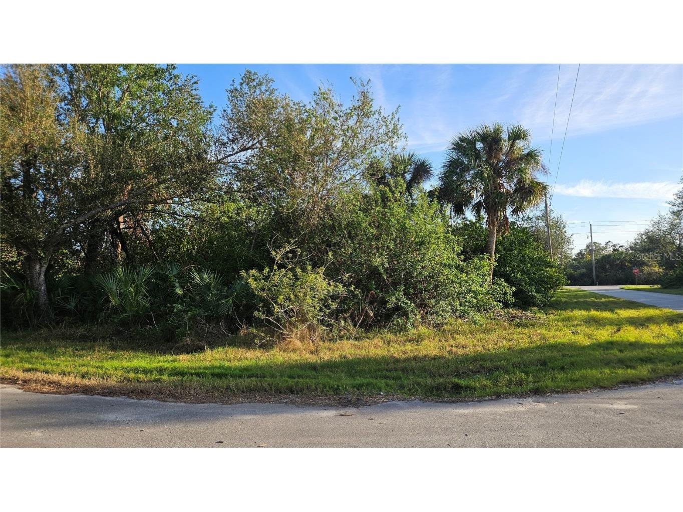 14417 Rowan Avenue Port Charlotte FL 33953 C7503246 image1