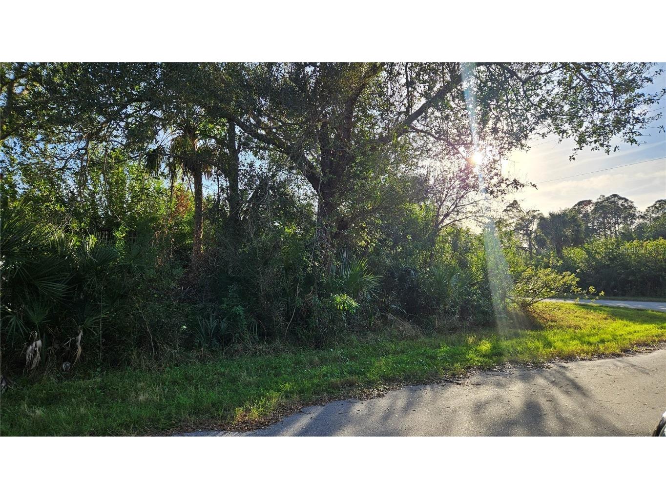 14417 Rowan Avenue Port Charlotte FL 33953 C7503246 image4