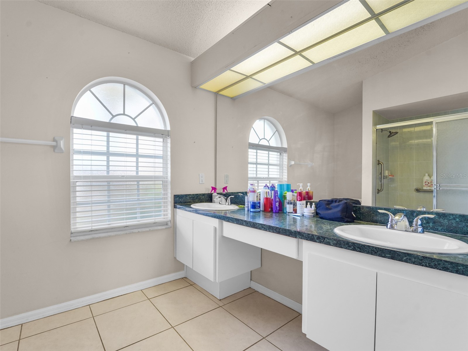 14419 Pimberton Drive Hudson FL 34667 TB8478342 image12