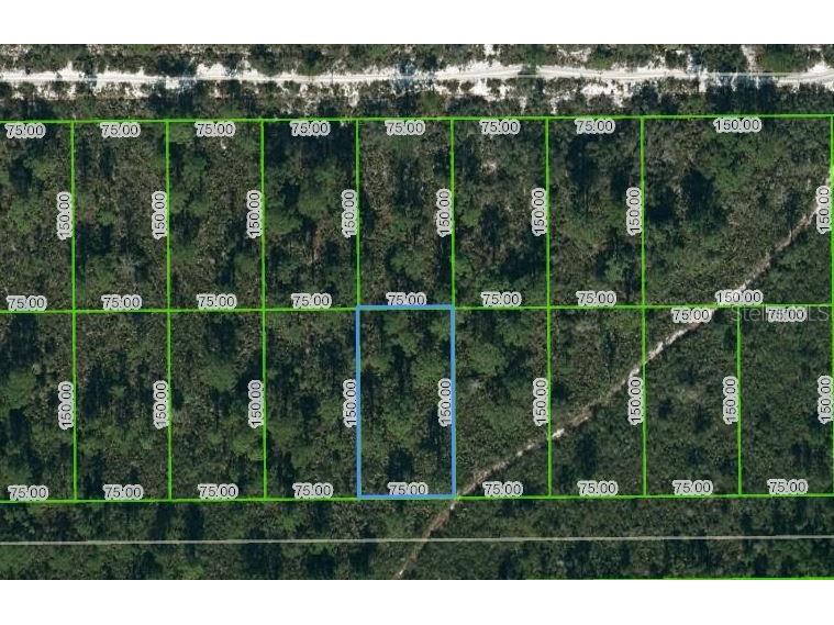 1442 Bittersweet Street Lake Placid FL 33852 OM624805 image1