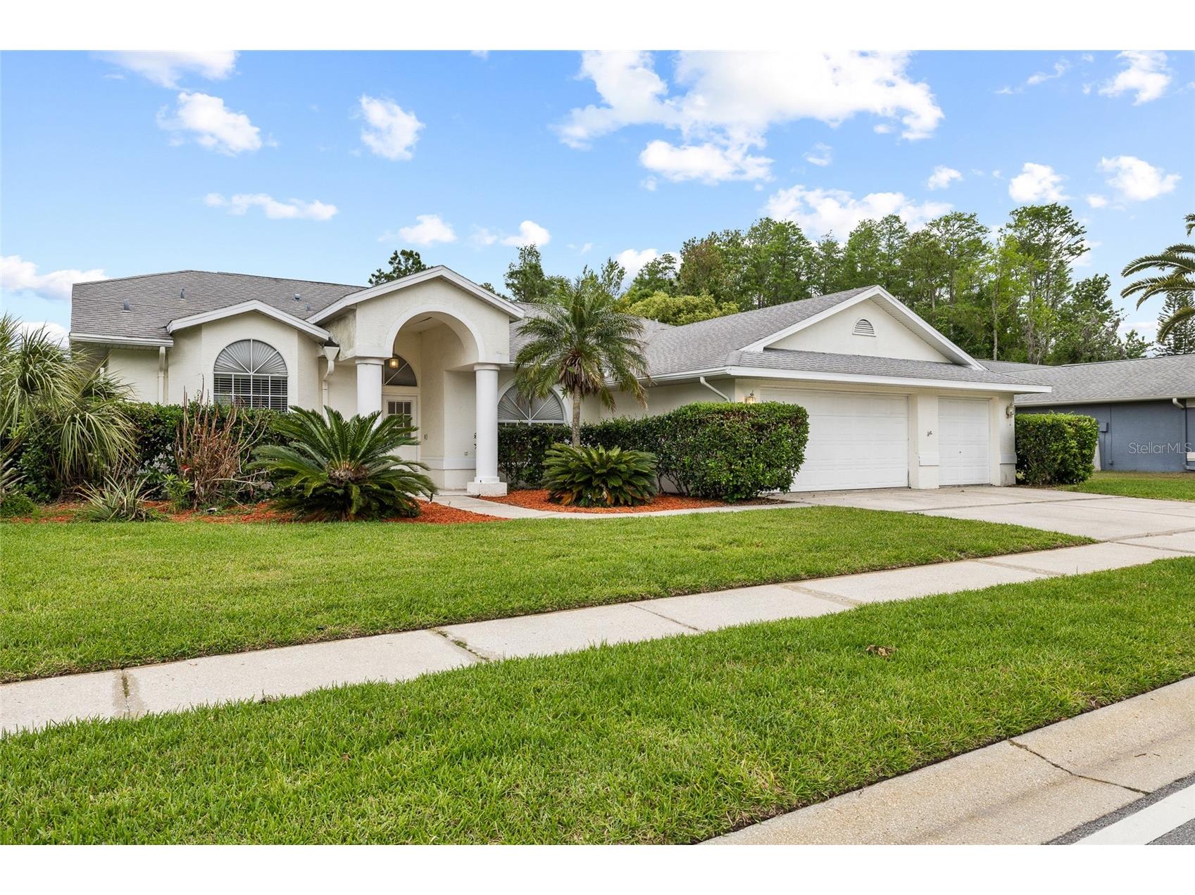 1442 Kinsmere Drive Trinity FL 34655 TB8495978 image3