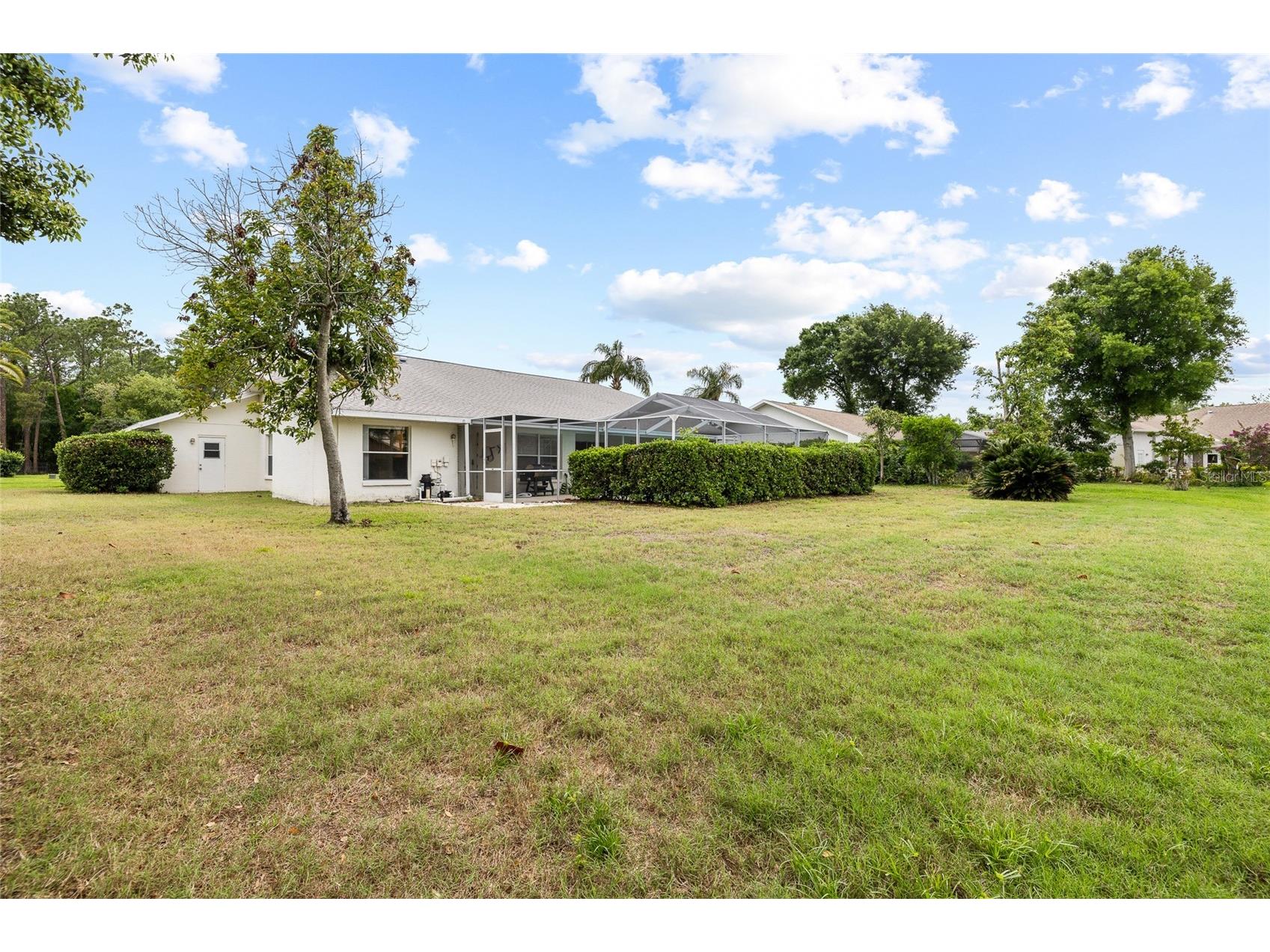 1442 Kinsmere Drive Trinity FL 34655 TB8495978 image37