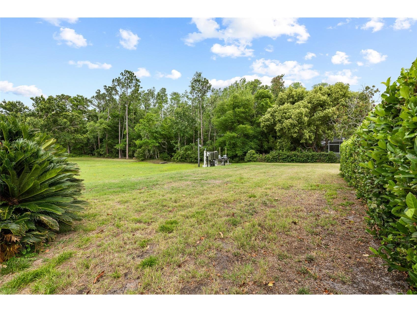 1442 Kinsmere Drive Trinity FL 34655 TB8495978 image38
