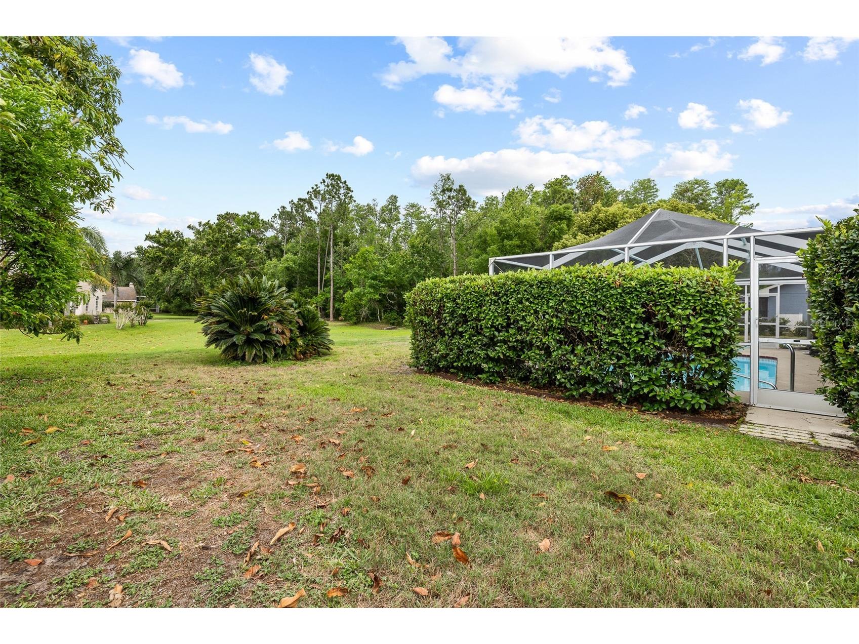 1442 Kinsmere Drive Trinity FL 34655 TB8495978 image39