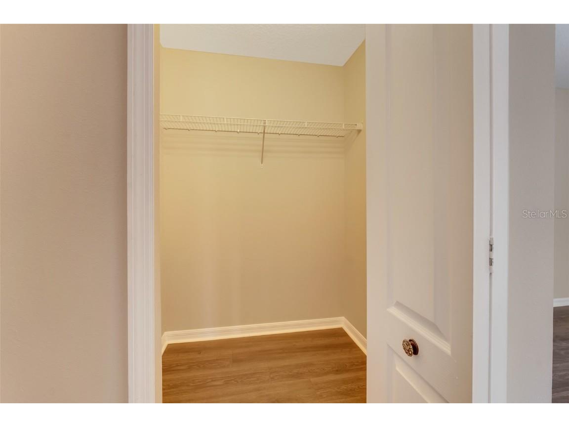 1442 Lake Shore Ranch Drive Seffner FL 33584 TB8444849 image26