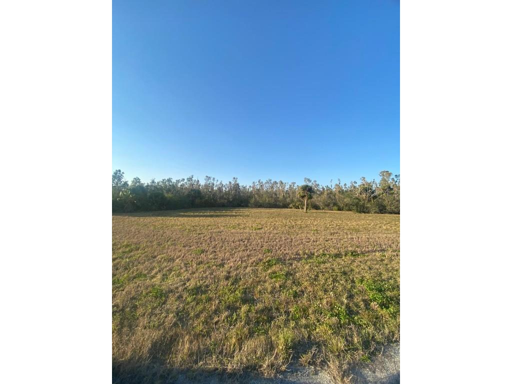 14420 Burbank Place Placida FL 33946 TB8362063 image15