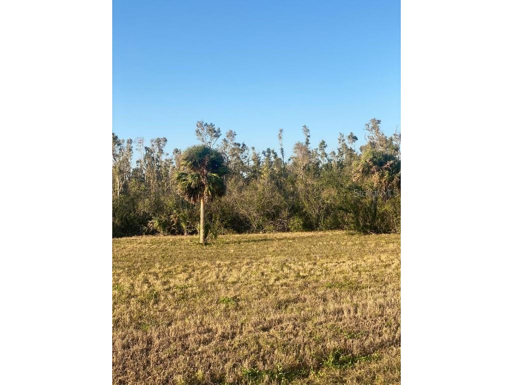 14420 Burbank Place Placida FL 33946 TB8362063 image16