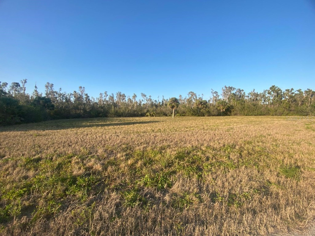 14420 Burbank Place Placida FL 33946 TB8362063 image4