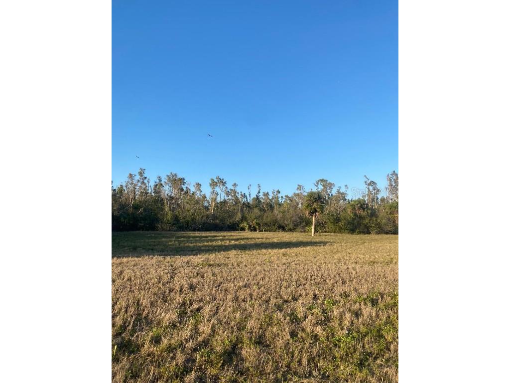 14420 Burbank Place Placida FL 33946 TB8362063 image5