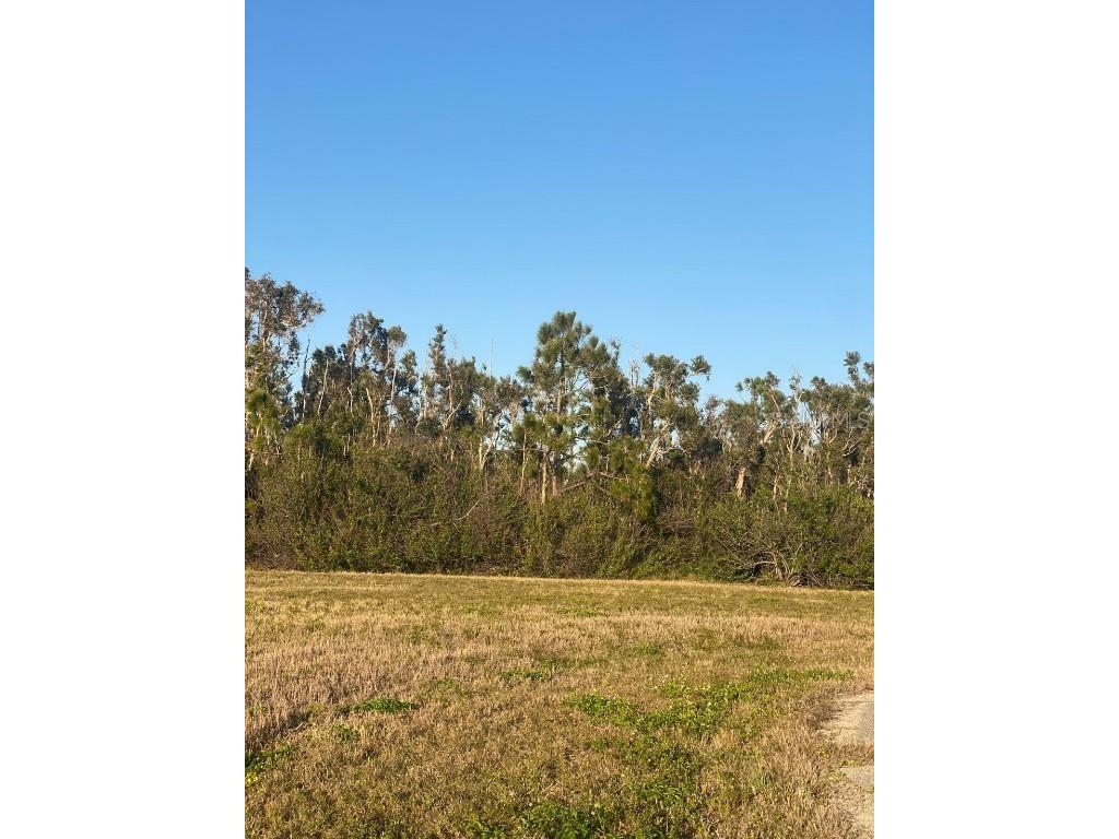 14420 Burbank Place Placida FL 33946 TB8362063 image7