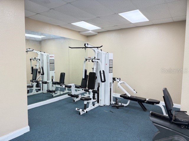 14421 Americana Circle #103 Tampa FL 33613 TB8424084 image10