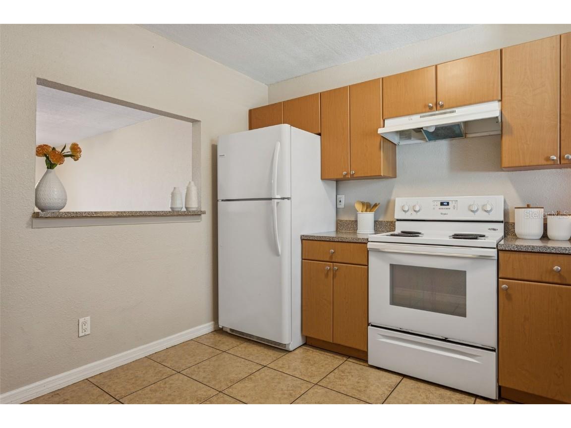 14421 Americana Circle #204 Tampa FL 33613 TB8444040 image5