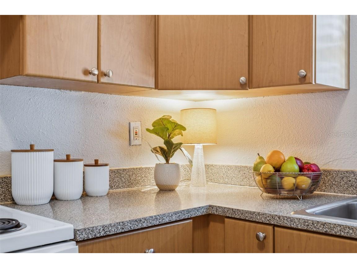 14421 Americana Circle #204 Tampa FL 33613 TB8444040 image7