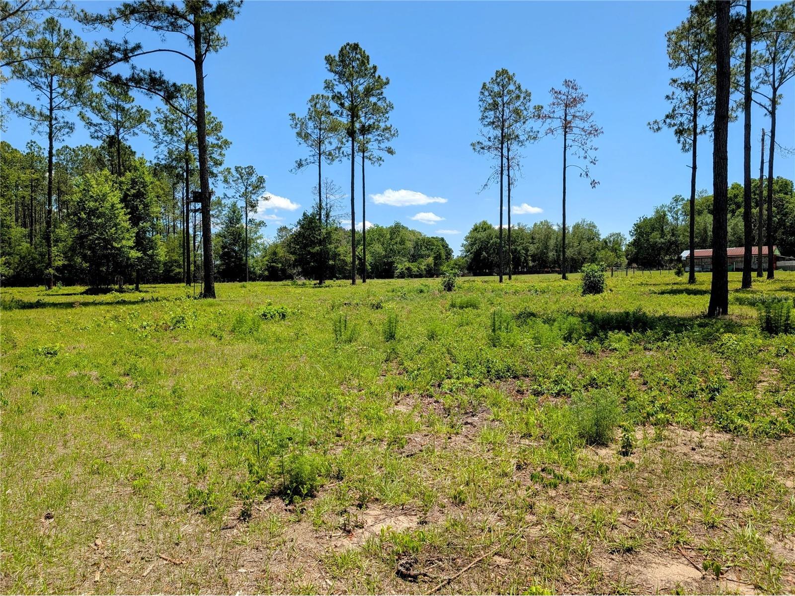 14421 NW 214th Terrace High Springs FL 32643 GC540061 image42