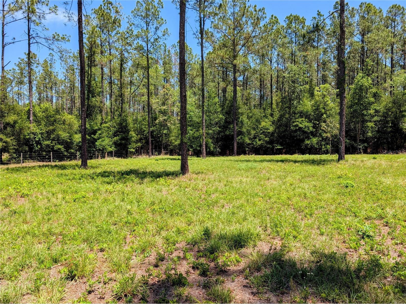 14421 NW 214th Terrace High Springs FL 32643 GC540061 image45