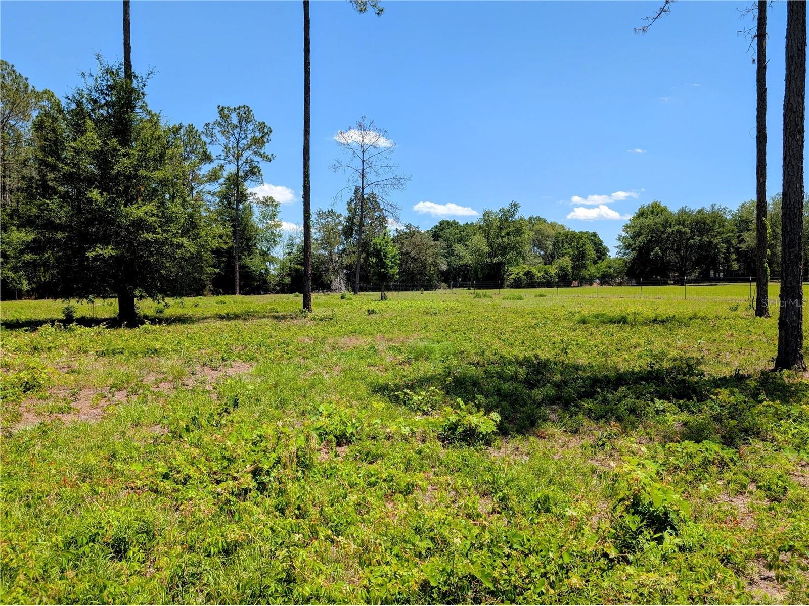14421 NW 214th Terrace High Springs FL 32643 GC540061 image46