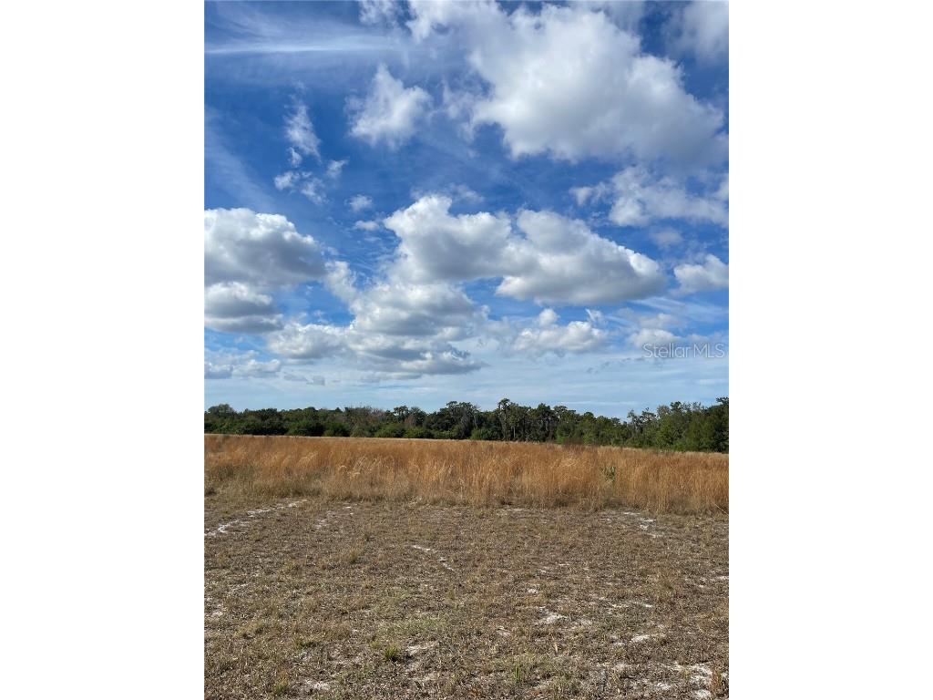 14421 Seminole Trail Wimauma FL 33598 TB8460593 image10