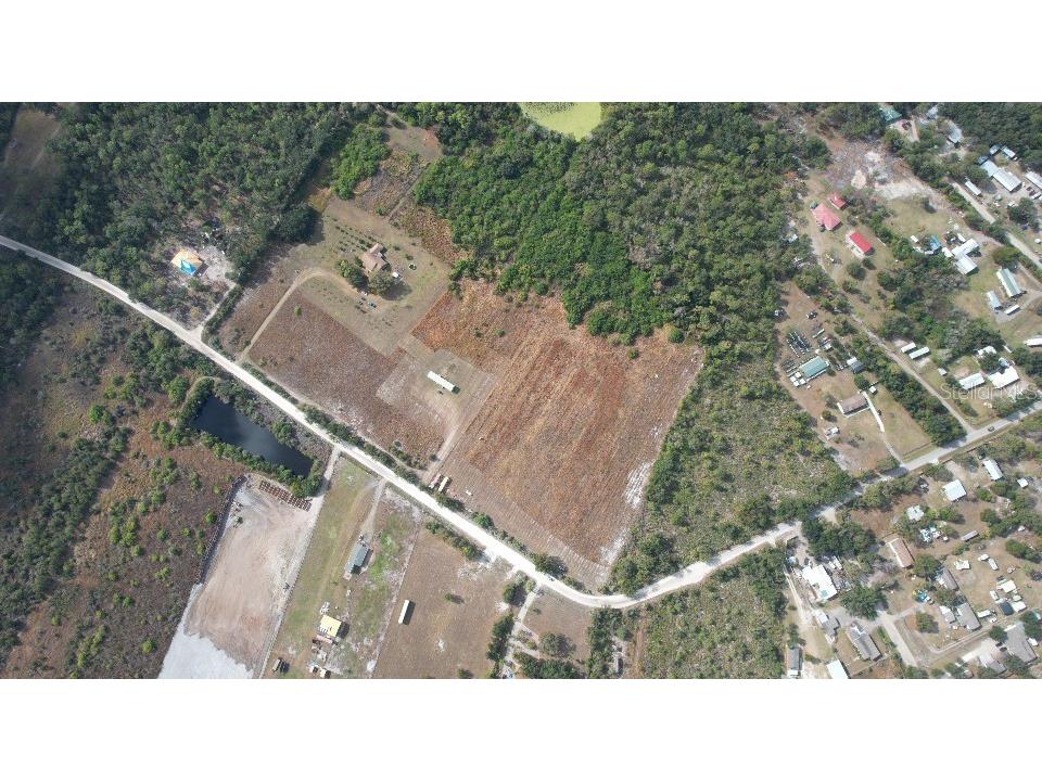 14421 Seminole Trail Wimauma FL 33598 TB8460593 image5