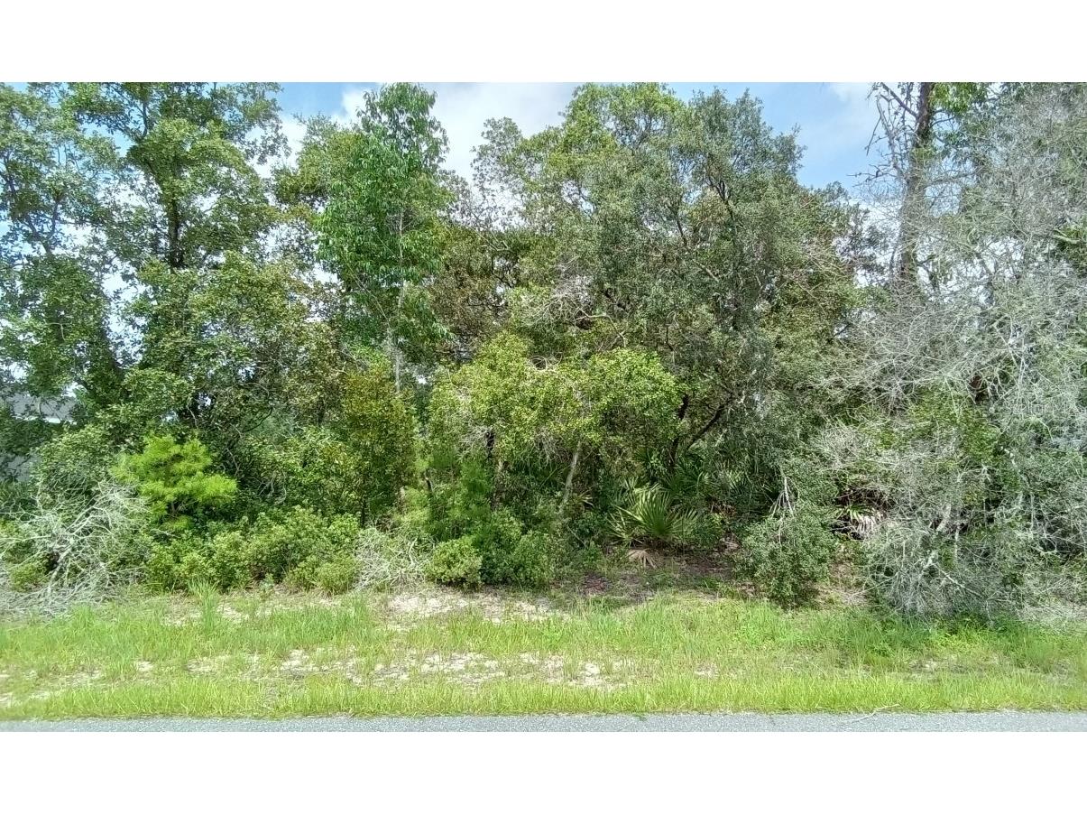 14421 SW 28th Avenue Ocala FL 34473 O6132542 image1