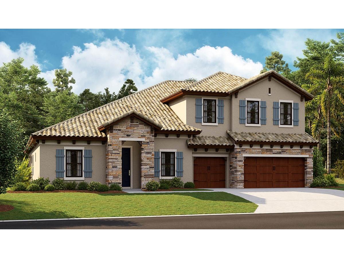 14421 Swiss Bridge Drive Riverview FL 33579 T3421287 image1