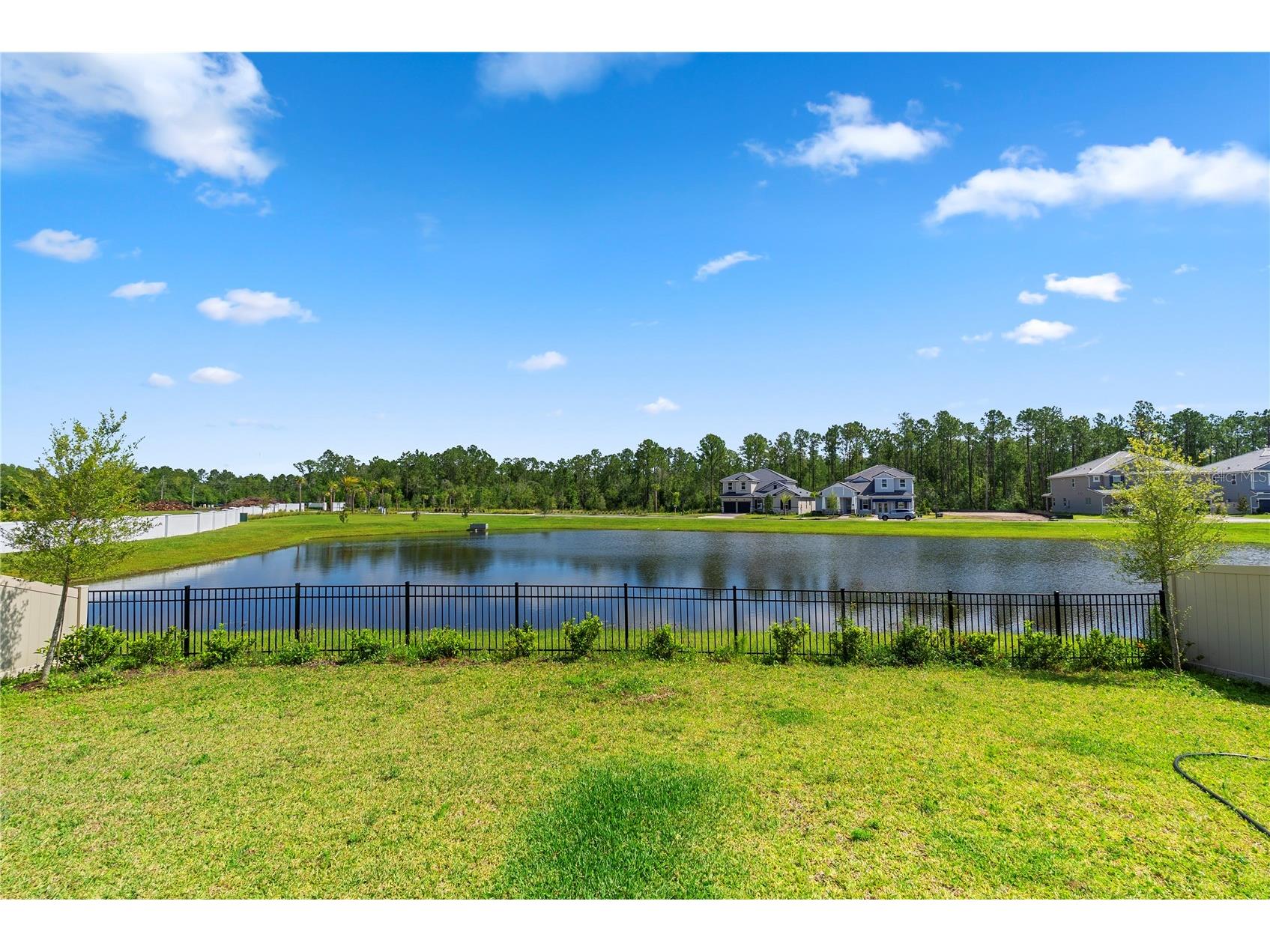14422 Crest Palm Avenue Windermere FL 34786 O6418503 image26