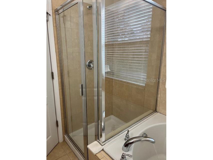 14422 Desert Haven Street #4206 Windermere FL 34786 S5148708 image25