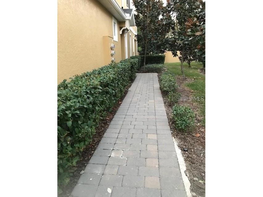 14422 Desert Haven Street #4206 Windermere FL 34786 S5148708 image3