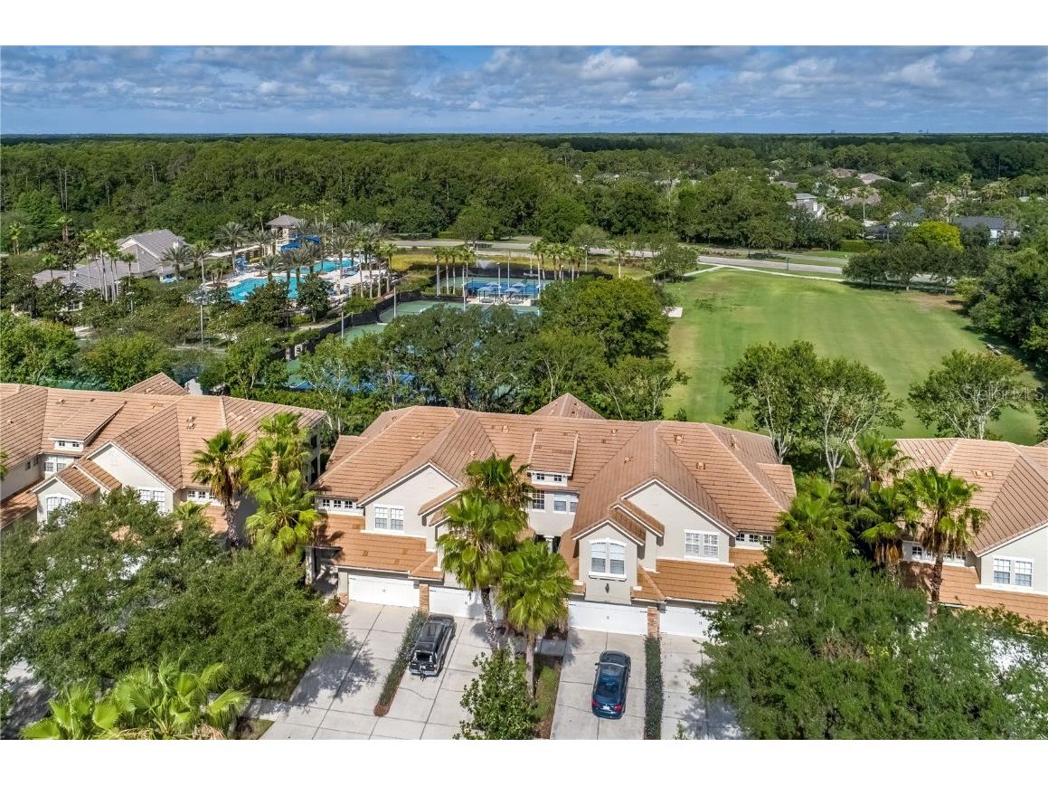 14423 Mirabelle Vista Circle Tampa FL 33626 T3448831 image1