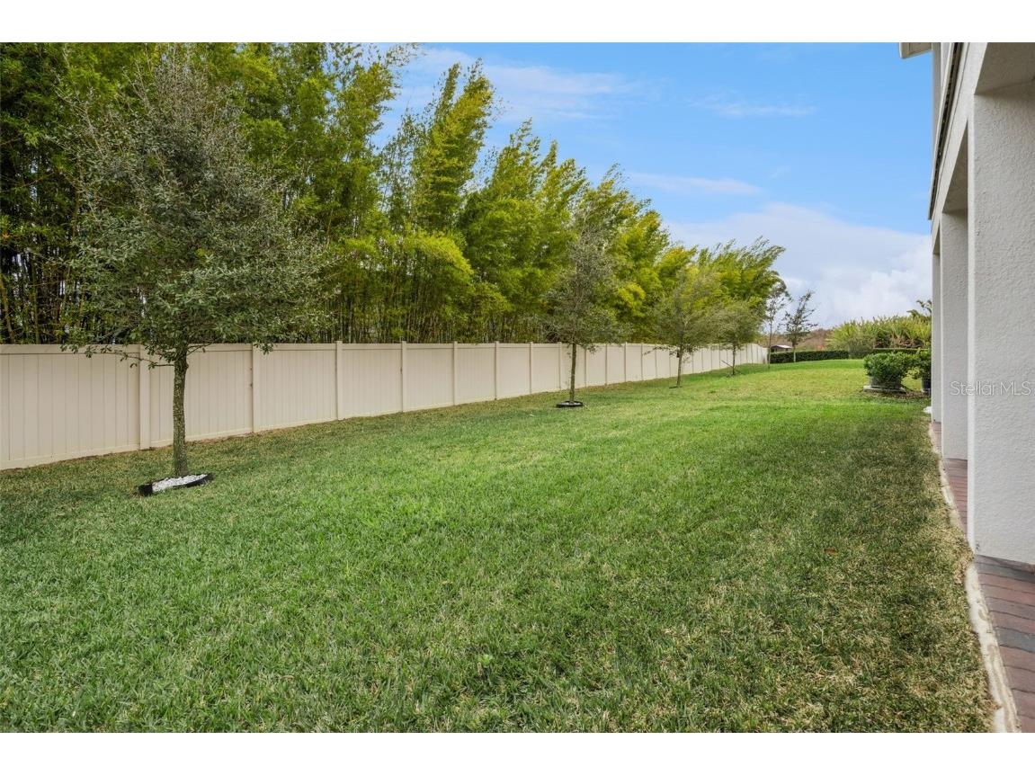 14423 Wabasso Loop Winter Garden FL 34787 O6368408 image42