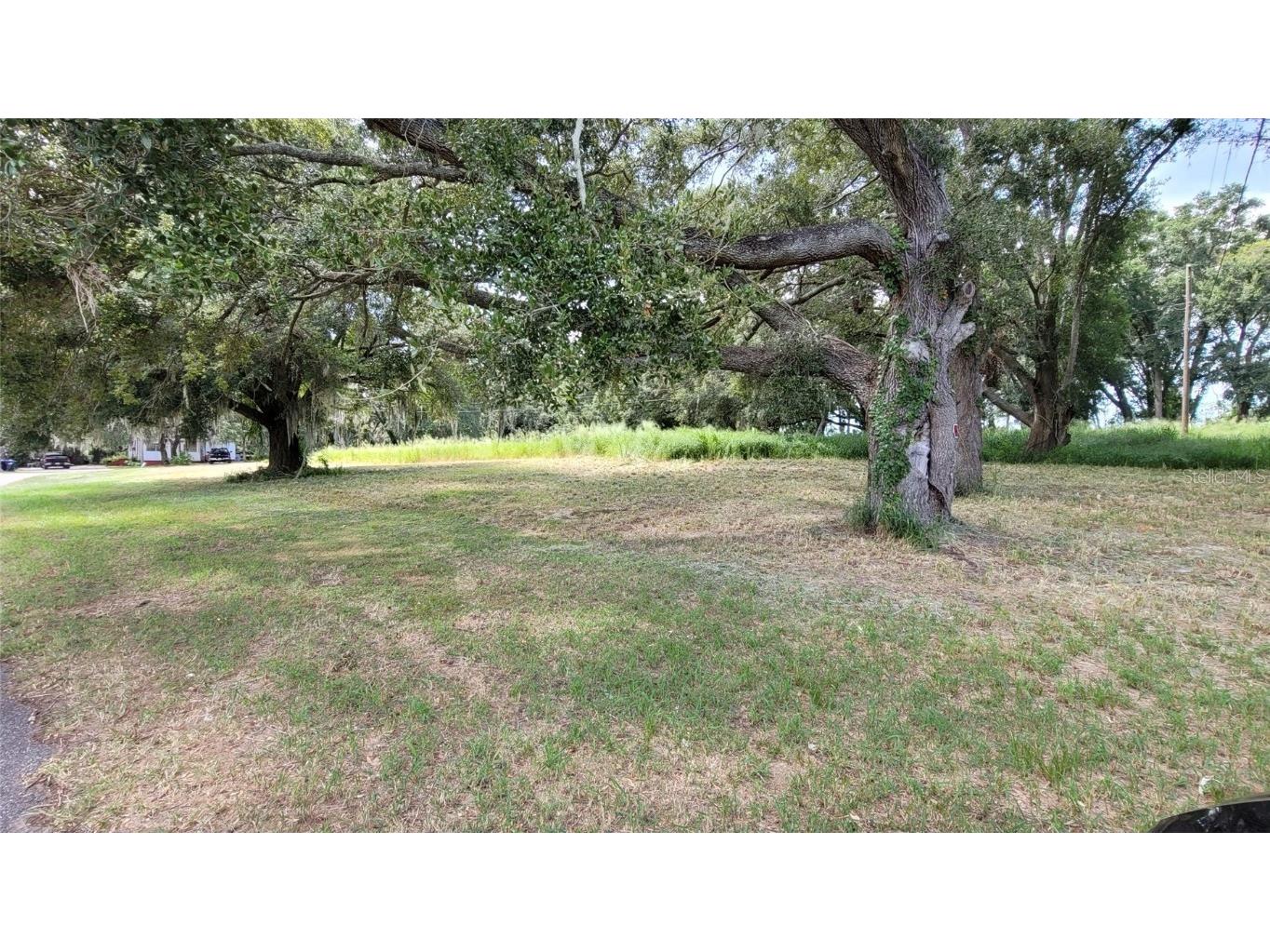 14424 Ellerbee Street Winter Garden FL 34787 O6361850 image1